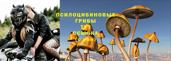ПСИЛОЦИБИНОВЫЕ ГРИБЫ Алексин