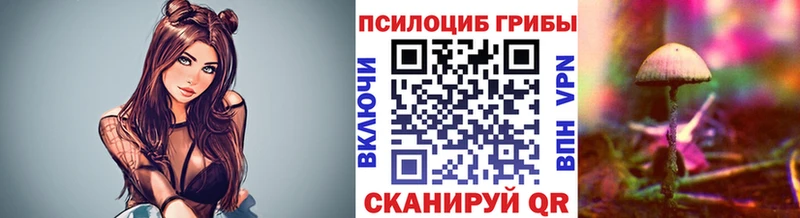 Псилоцибиновые грибы GOLDEN TEACHER  даркнет сайт  Чехов 